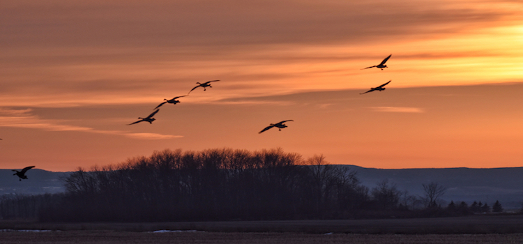 Why is young talent not flocking to the SDN/NFV world?