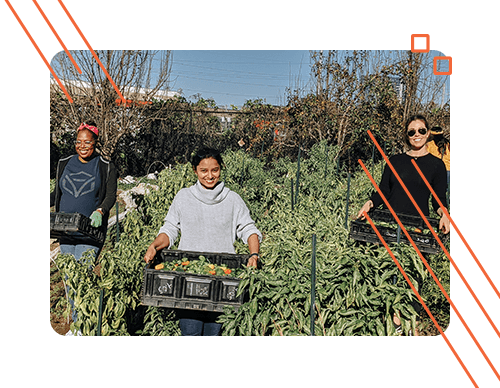 Career Imgs2 Volunteer photography of itential network automation employees participating in a volunteer outreach program at good sam in atlanta