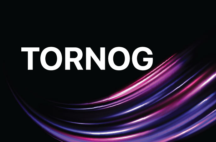 From CLI to GPT: A Network Engineer's AIOps Journey | TORNOG 1